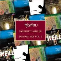 HYP202501B - Hyperion sampler - January 2025 Vol. 2